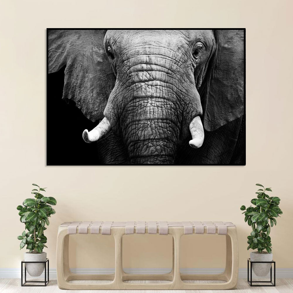 Majestic Elephant Black and White Canvas Wall Art 