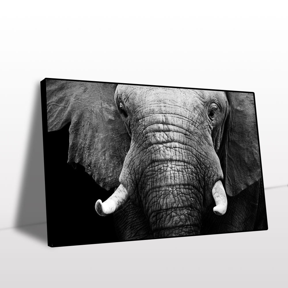 Majestic Elephant Black and White Canvas Wall Art 