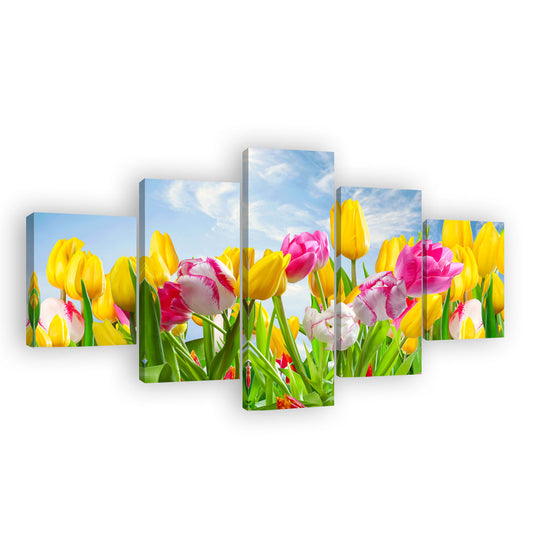 Colorful Tulips Canvas Wall Art
