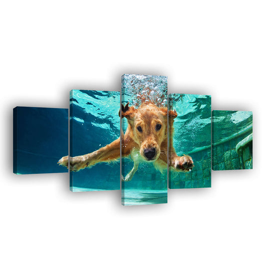 Golden Retriever Diving Under Water Canvas Wall Art