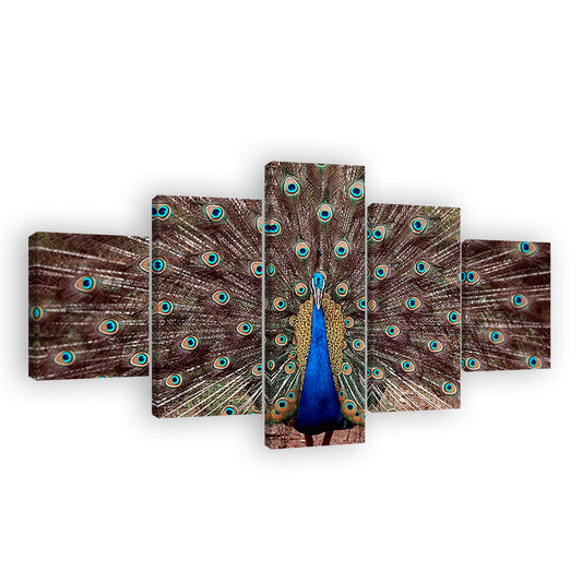 Blue Peacock Feathers Canvas Wall Art