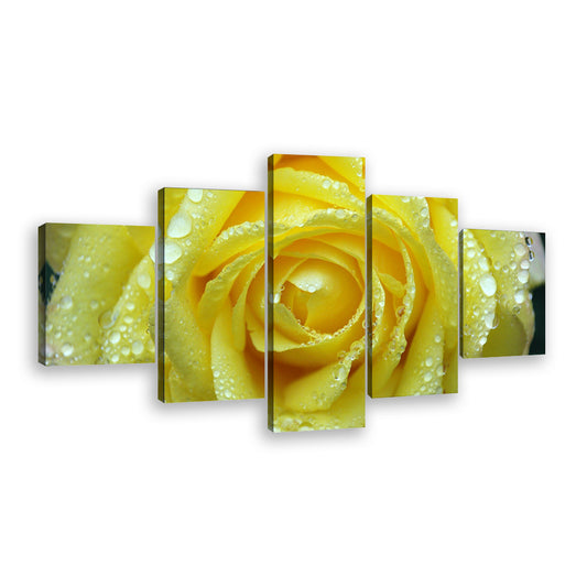 Yellow Rose with Water Drops Canvas Wall Art