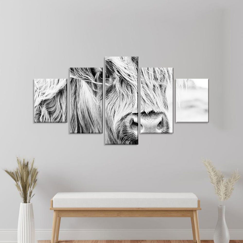 Long-Haired Scottish Cow Canvas Wall Art
