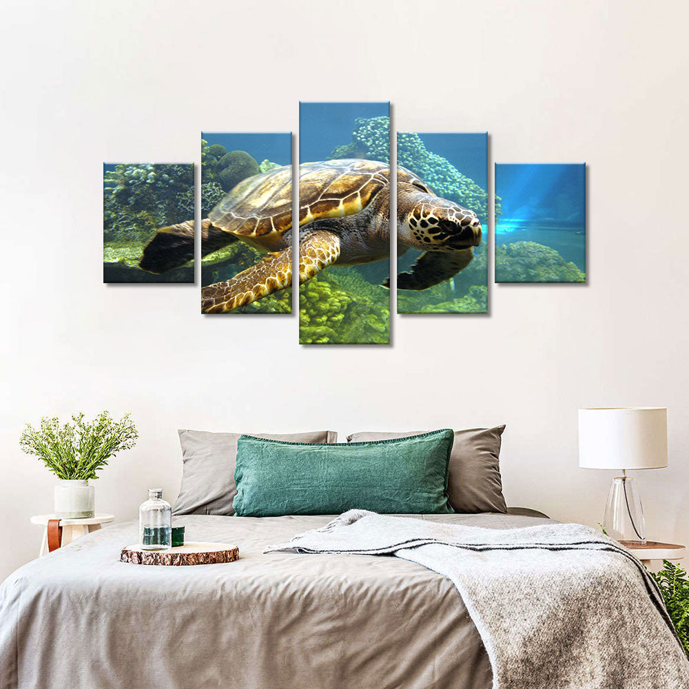 Turtle swimming in bottom of the sea canvas wall art