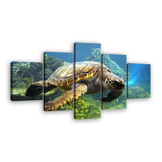 Turtle Swimming in Bottom of the Sea Canvas Wall Art