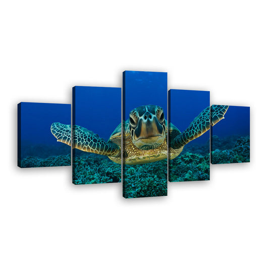 Sea Turtle Swimming in Blue Ocean Canvas Wall Art