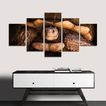 Giant Old Tortoise Canvas Wall Art