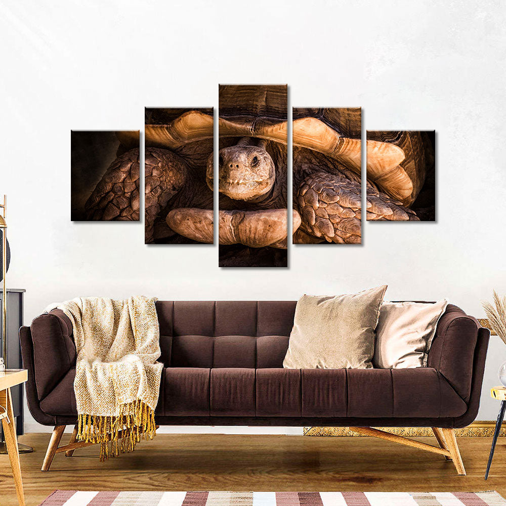 Giant old tortoise canvas wall art