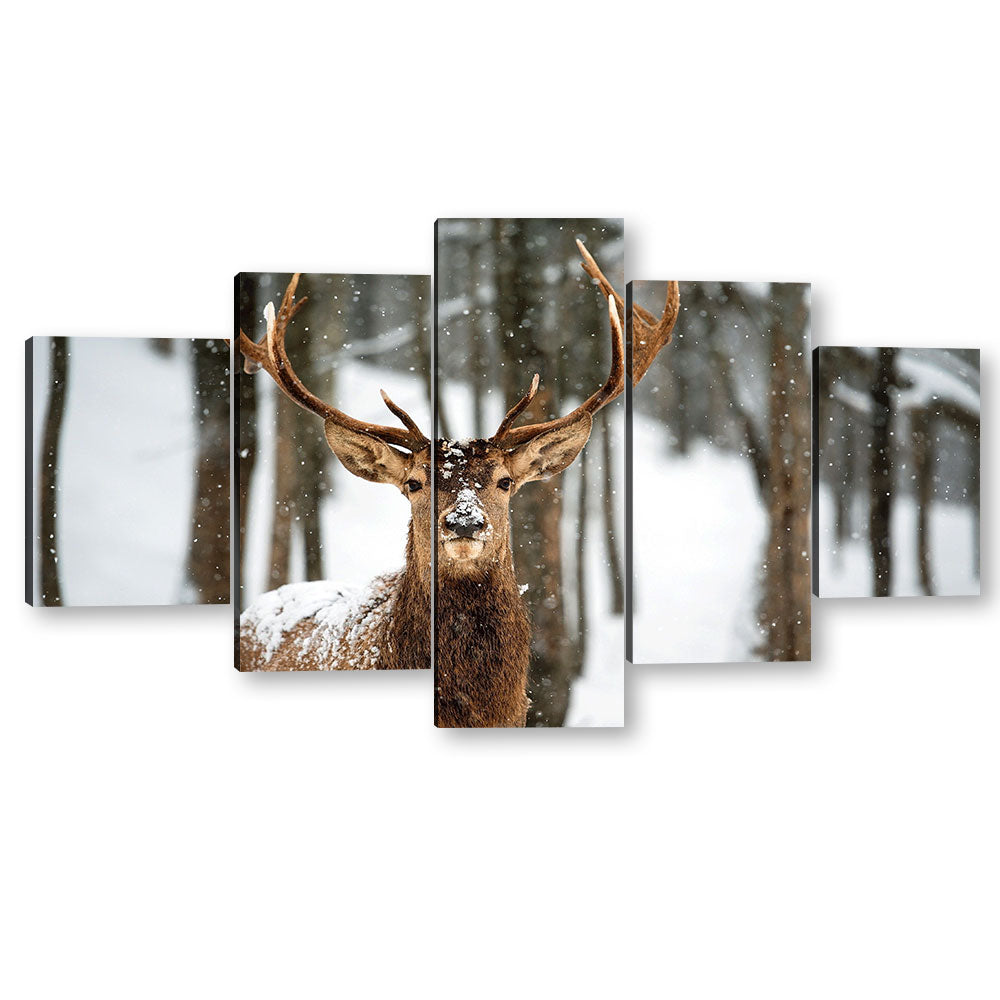 5 Piece Mad Masters Reindeer Canvas Wall Art