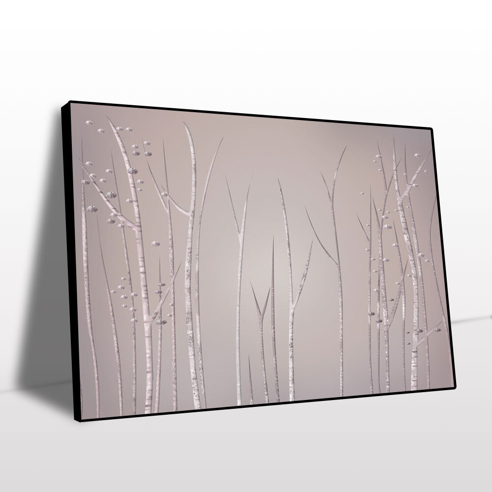 Tranquil Birch Grove Canvas Wall Art