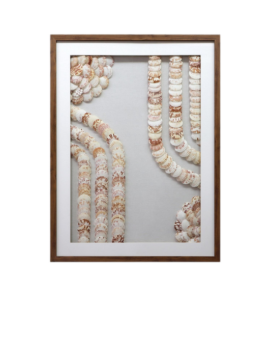 Coastal Harmony Seashell Wall Art