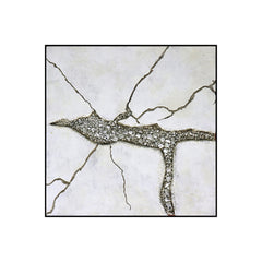 Stylish Cracked Earth Panel