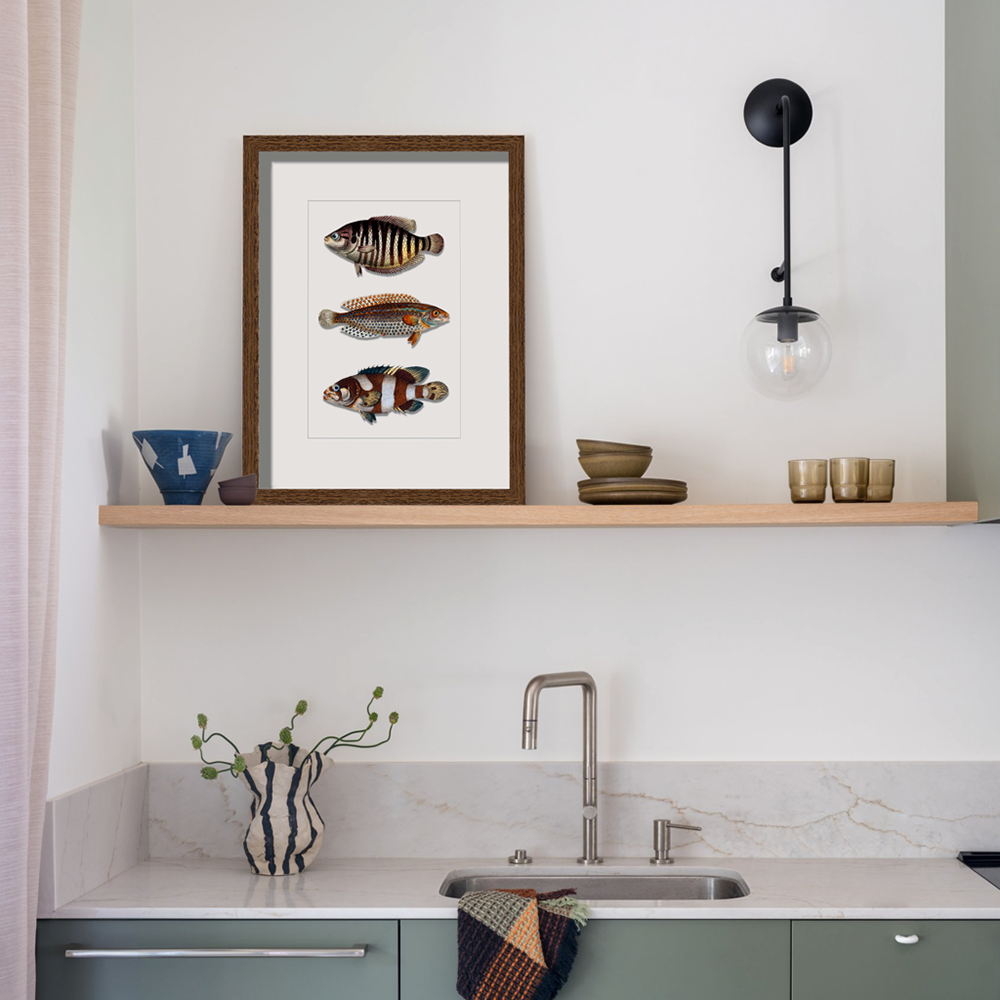 Framed Vintage Wall Art of Fish Illustration in Wood 