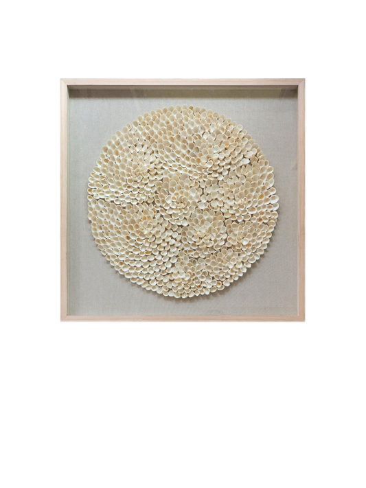 Circular Seashell Bloom Wall Art