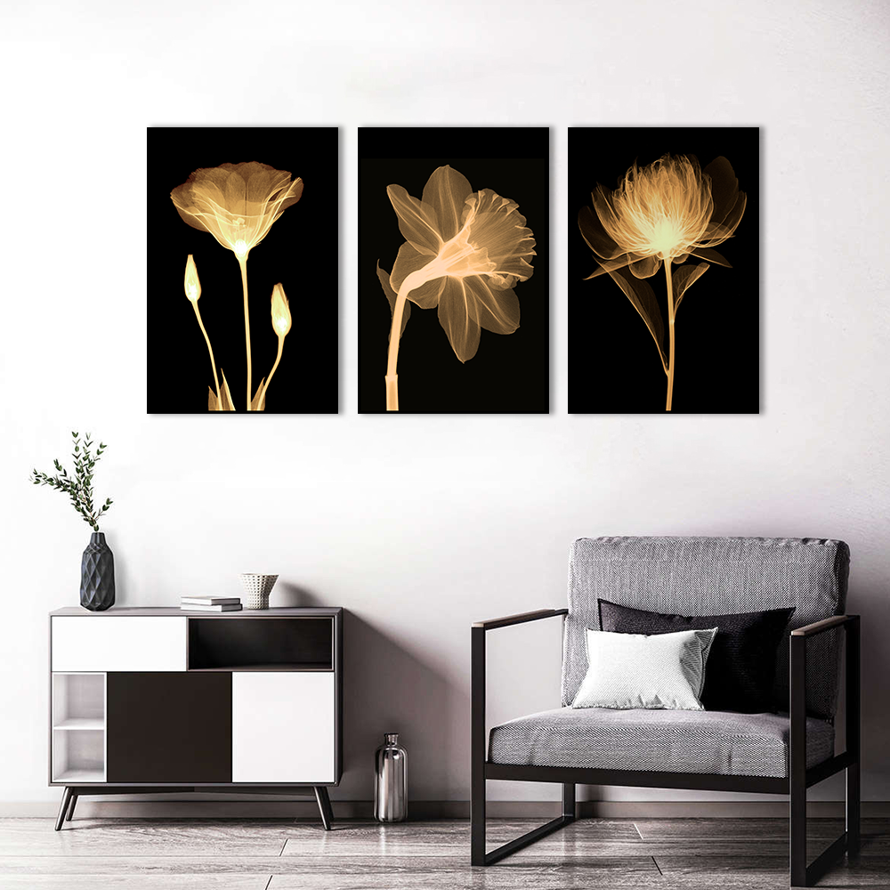 3 Piece Nordic Transparent Flowers in Black Canvas Wall Art