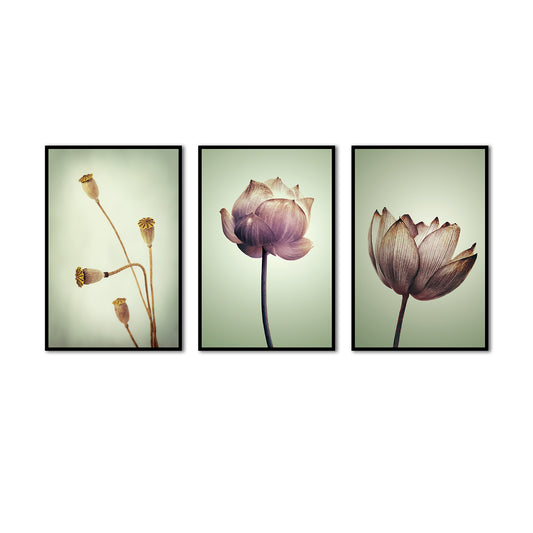 3 Piece Lotus Flower Canvas Wall Art