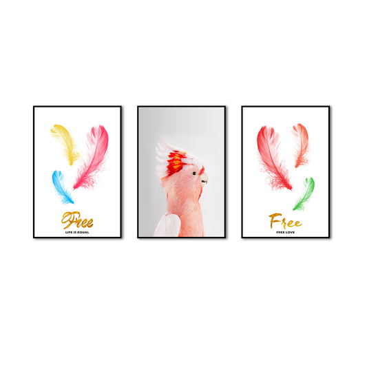 3 Piece Nordic Colorful Feathers and Parrot Canvas Wall Art