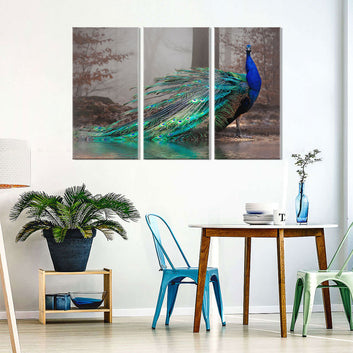 3 Piece Gorgeous Peacock Canvas Wall Art