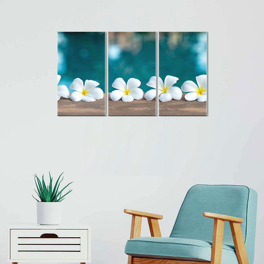 White Frangipani Flower canvas wall art