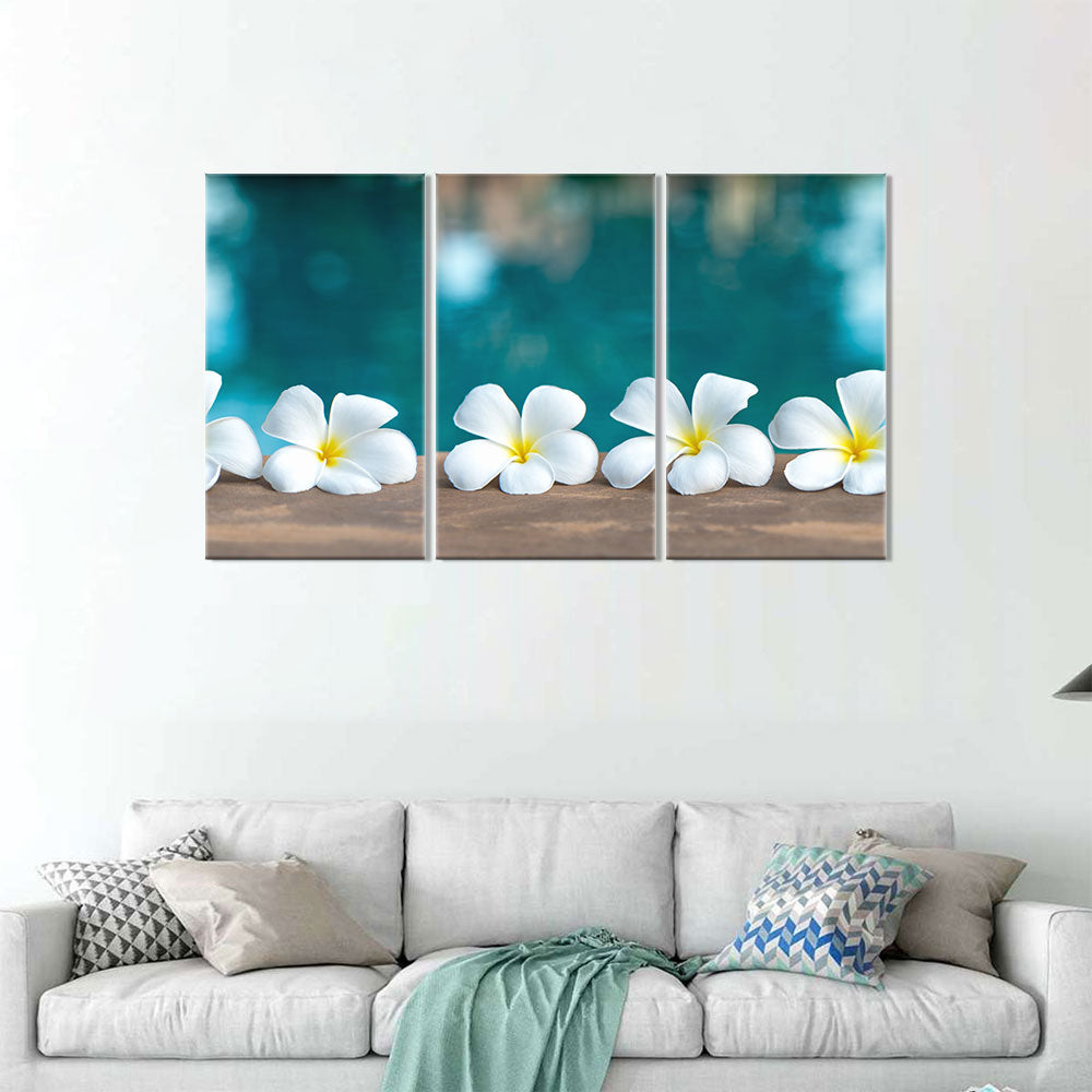 White Frangipani Flower canvas wall art