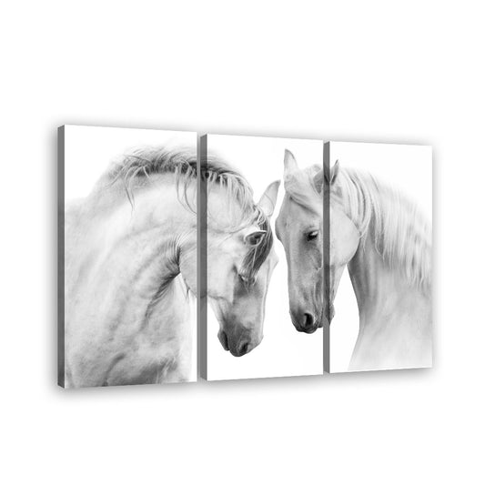 Couple of Beautiful White Horses Canvas Wall Art