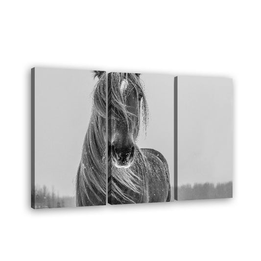 Gray Horse in Snow Canvas Wall Art