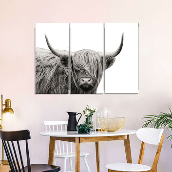 Highland Cattle Canvas Wall Art