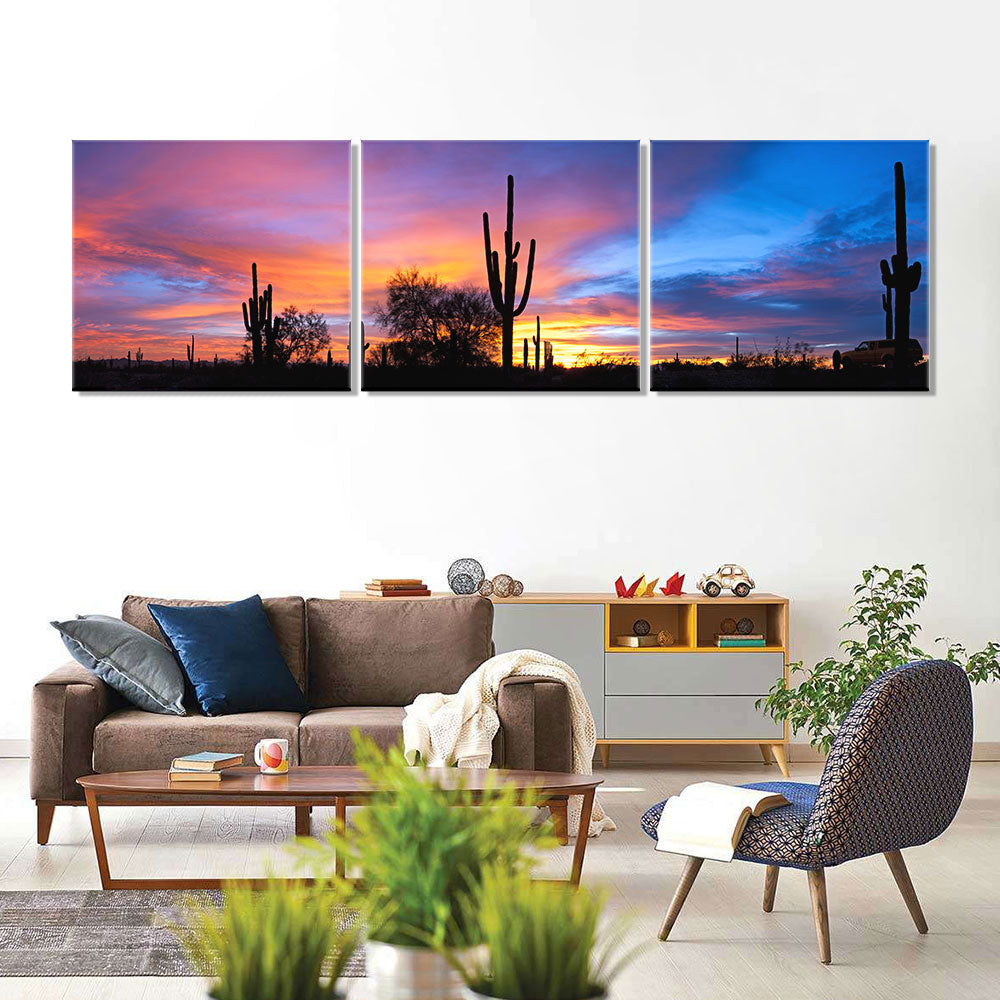 Sunset in the Sonoran Desert canvas wall art