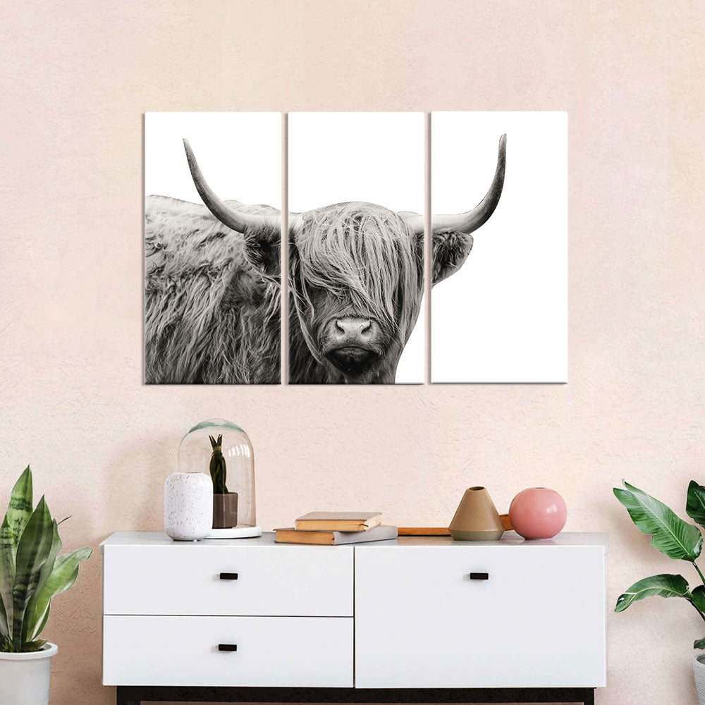 Highland Cattle canvas wall art
