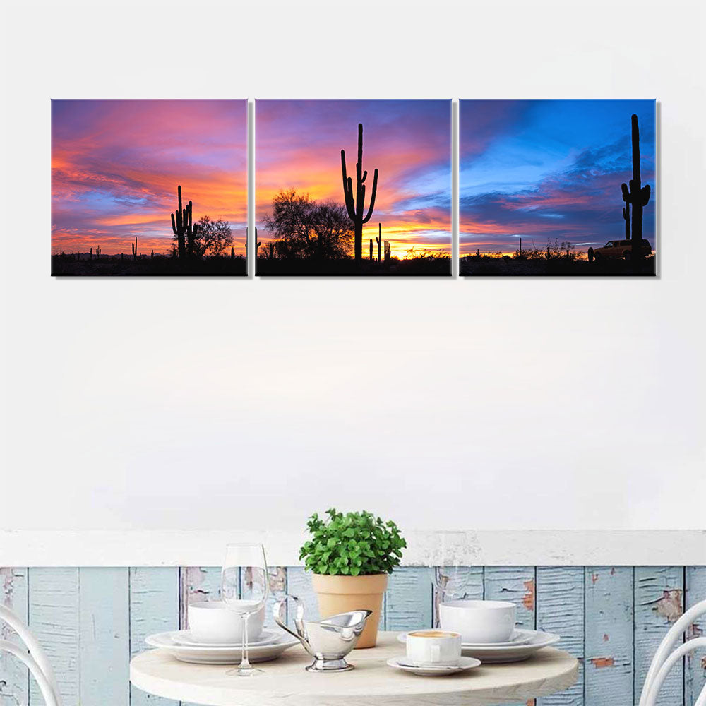 Sunset in the Sonoran Desert canvas wall art