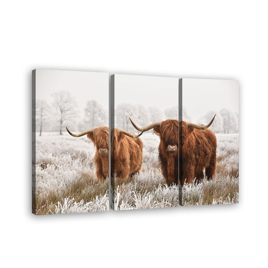 Two Highland Cows in Snow Canvas Wall Art