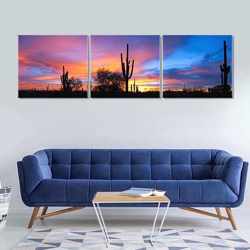 Sunset in the Sonoran Desert canvas wall art