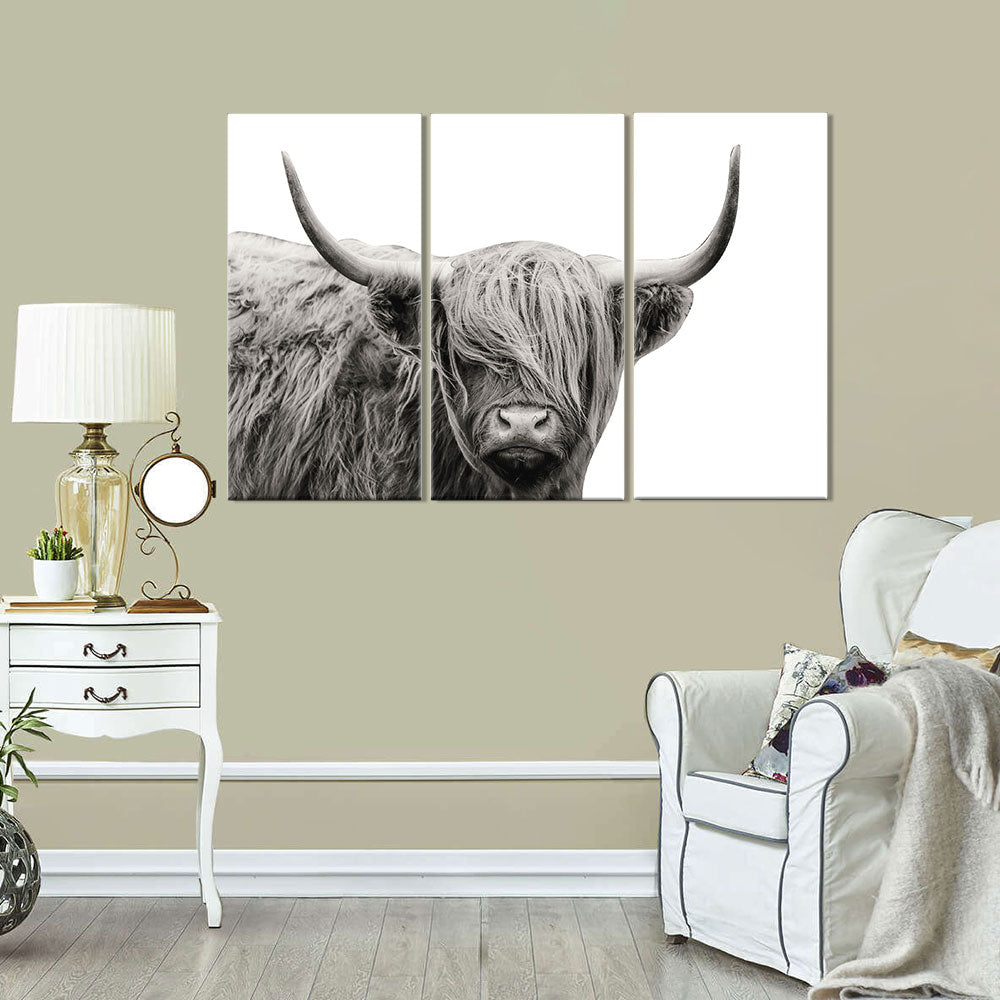 Highland Cattle canvas wall art