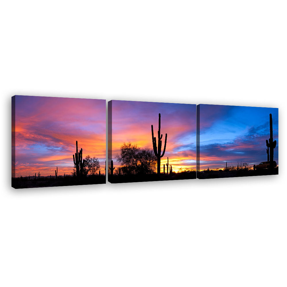 Sunset in the Sonoran Desert canvas wall art