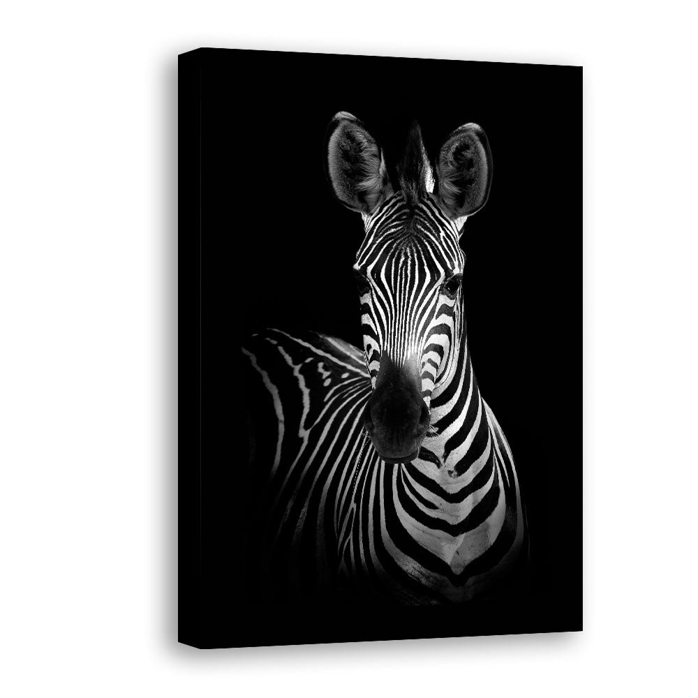 Black and White Zebra canvas wall art
