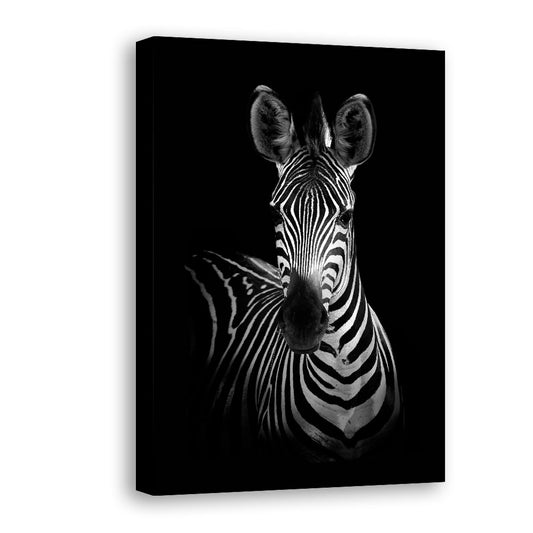 Black & White Zebra Canvas Wall Art