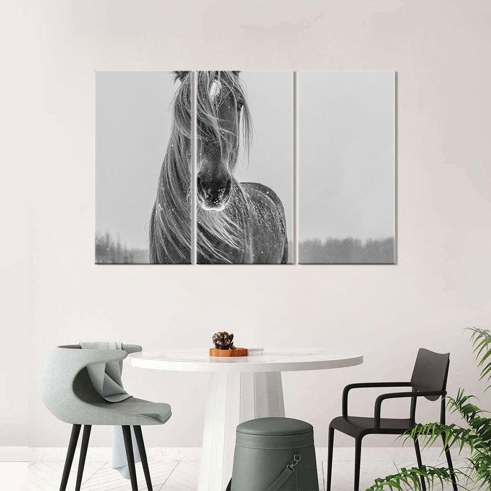 Gray Horse in Snow canvas wall art