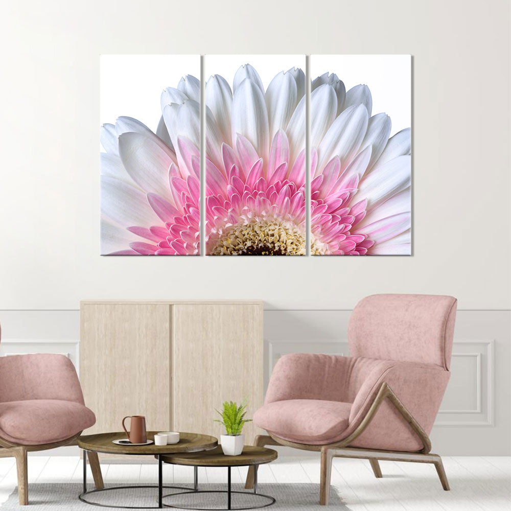 Pink Gerbera daisy canvas wall art