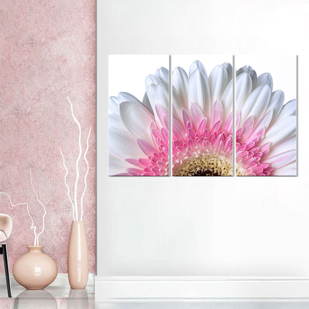 Pink Gerbera daisy canvas wall art