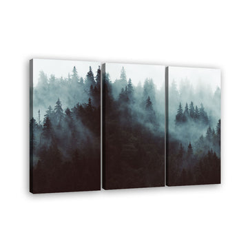 Misty Forest canvas wall art
