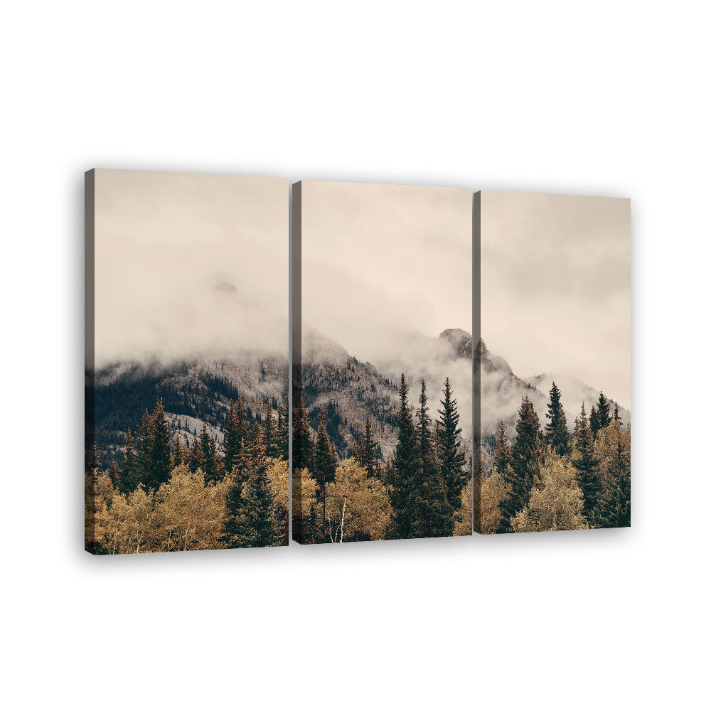 Foggy Banff National Park canvas wall art