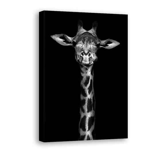 Black & White Giraffe Canvas Wall Art