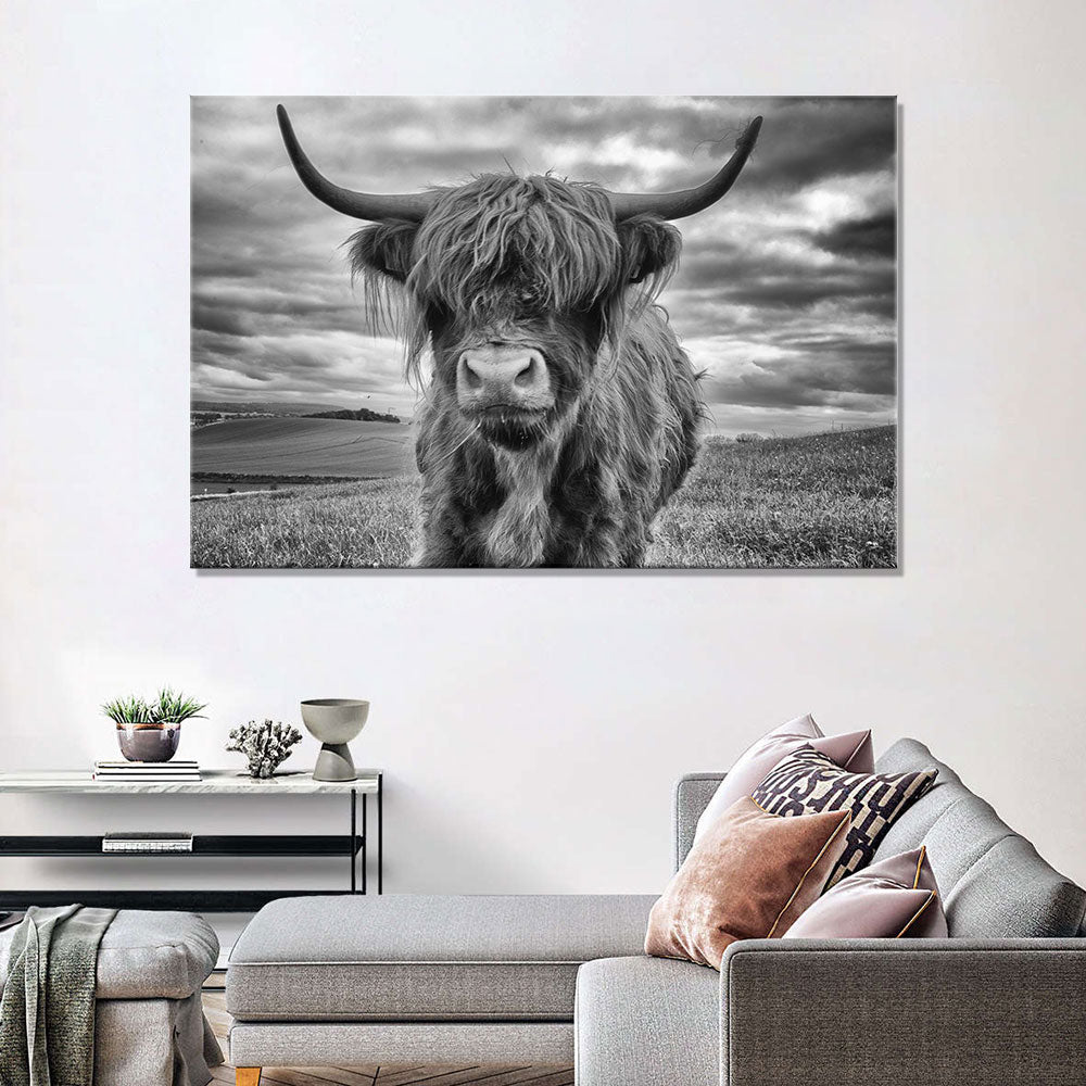 Black and White Highland Cow canvas wall art