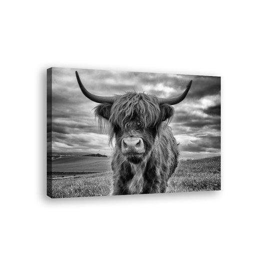Black and White Highland Cow Canvas Wall Art