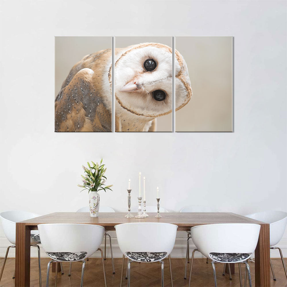 Barn Owl Canvas wall art