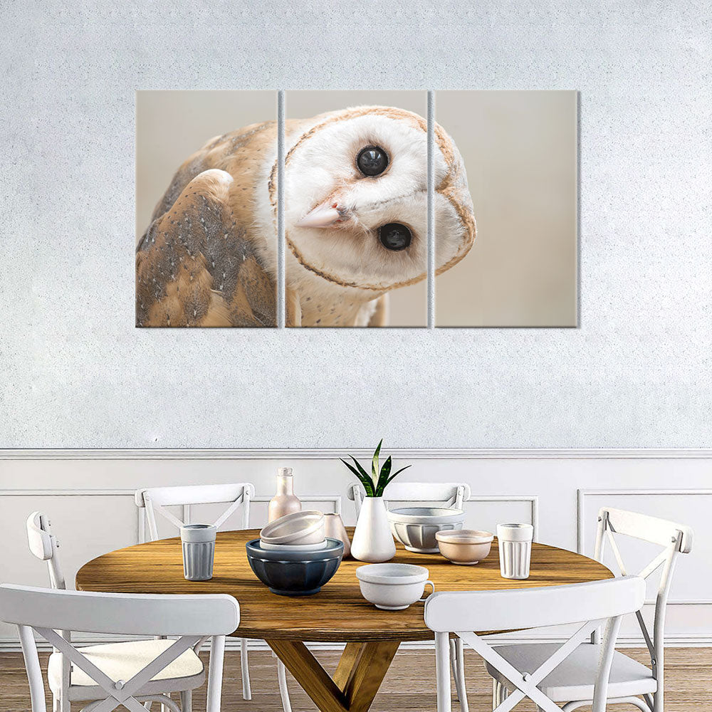 Barn Owl Canvas wall art